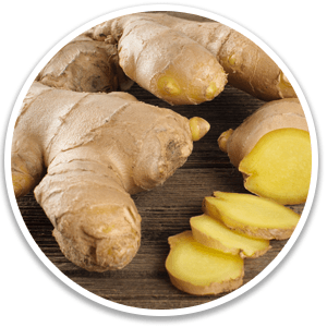 Ginger Rhizome - Alpilean Ingredient
